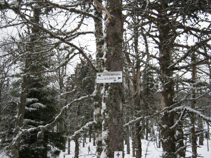 2010-02-20 Grossman (07) Another sign near summit